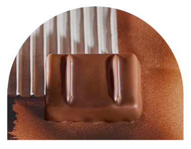 Raw and toasted almond Praline close