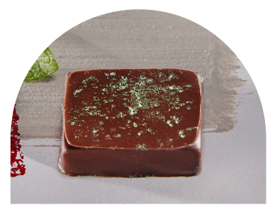 Mentha close