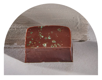 Mentha open